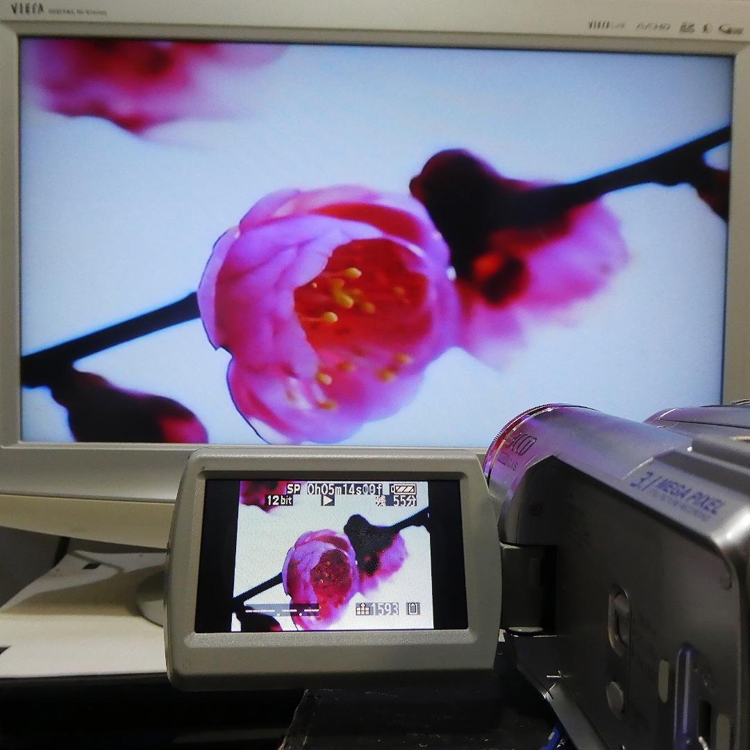 動作良好 パナソニックNV-GS300 MiniDVビデオ　デジタルダビングに