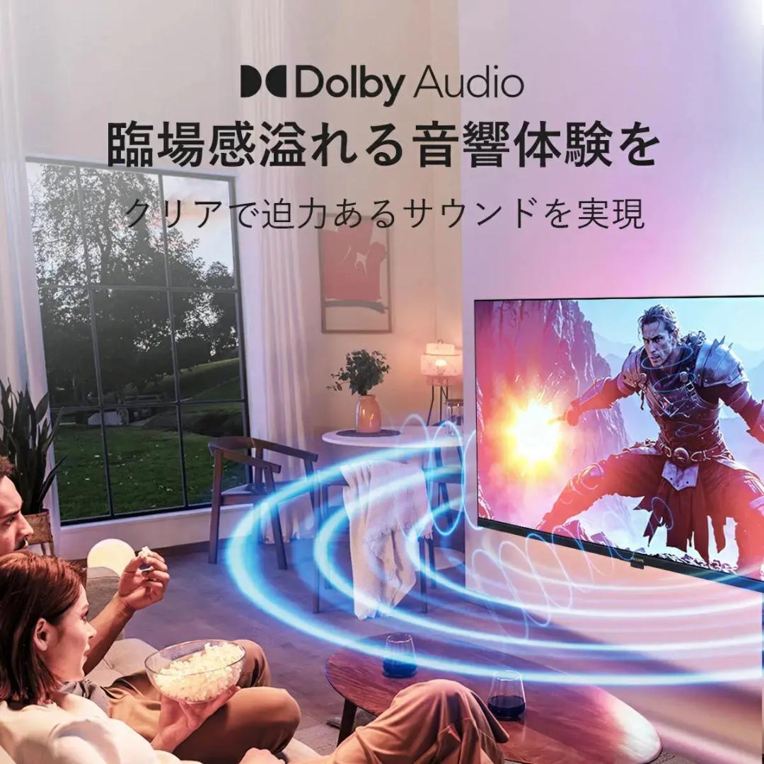【過去最大割引！ 】PHILIPS チューナーレステレビ PHH6569 32型
