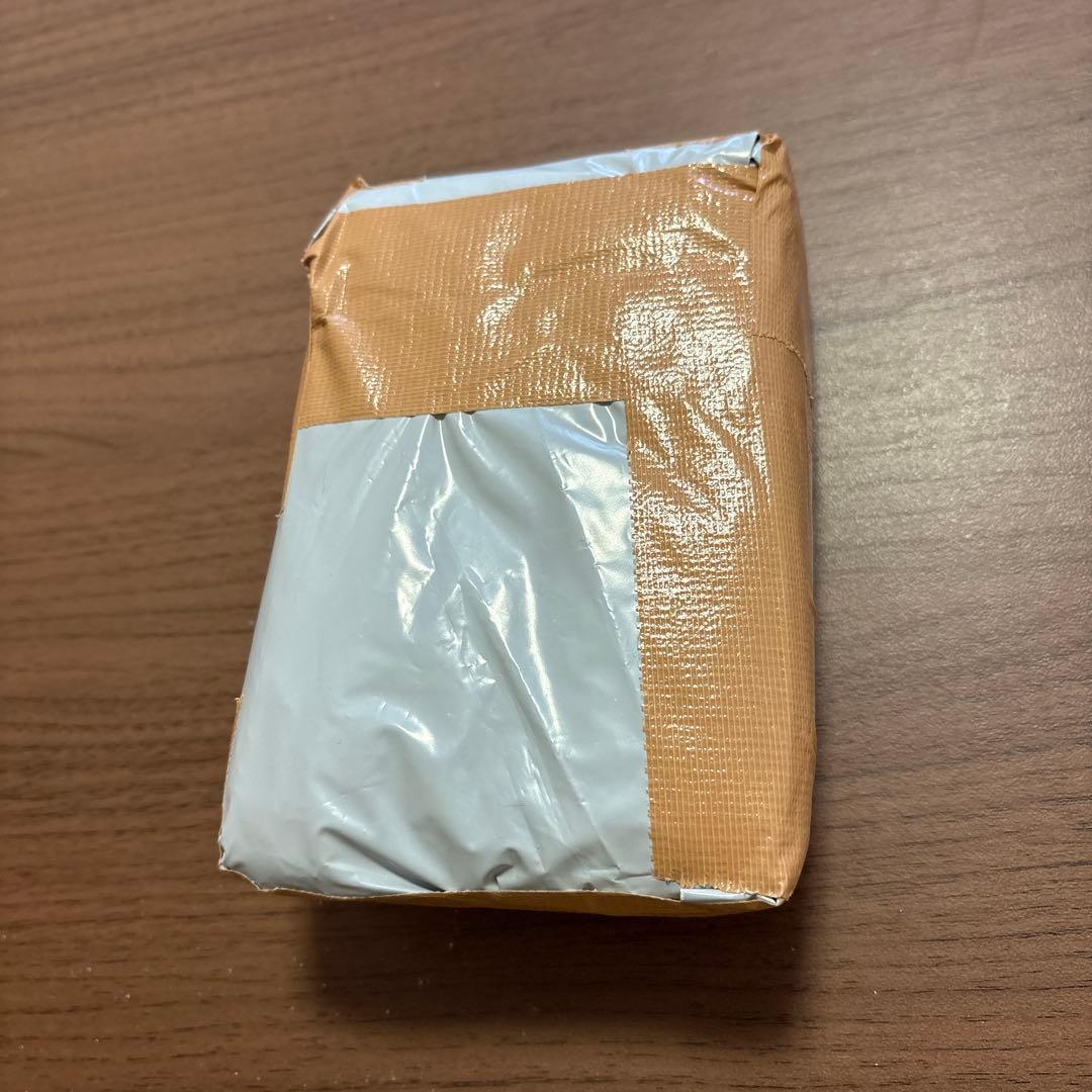 SONY ウォークマン NW-A306 デジタルオーディオプレーヤー　ケース付き