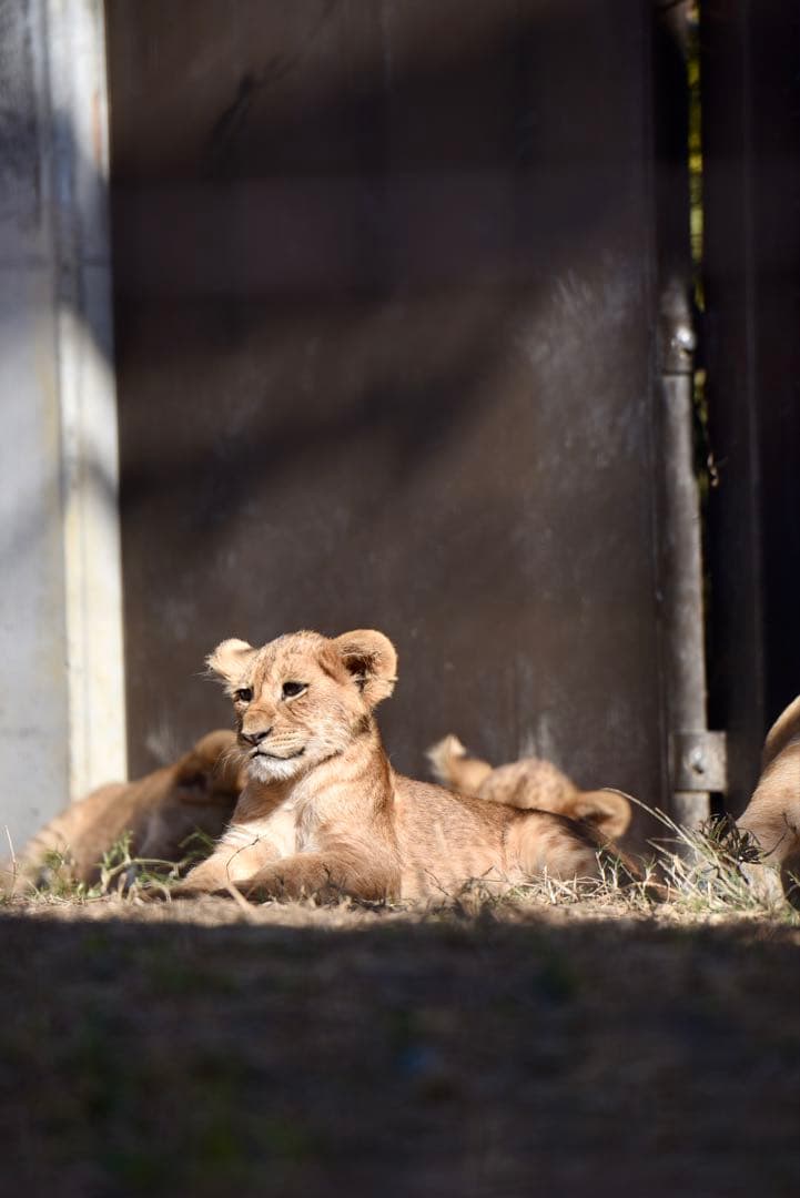 【修理済み】Nikon D750 デジタル一眼レフ