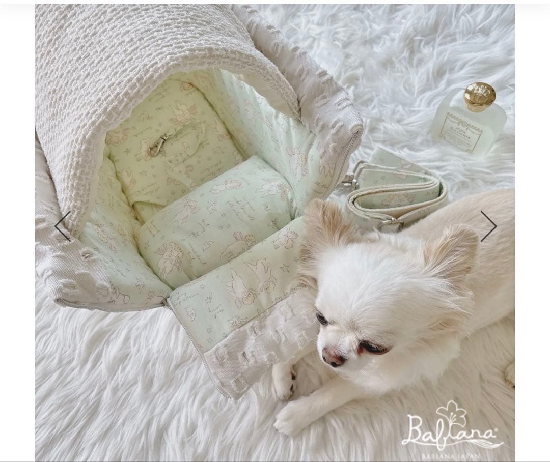 BABIANAキャリーバッグ　韓国　犬