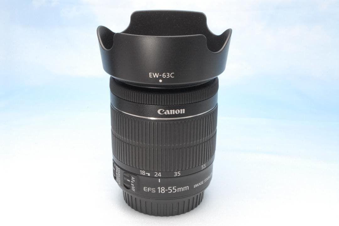 ✨Wi-Fi転送✨キヤノン EOS 8000D 手振れ補正 初～中級 長く使える