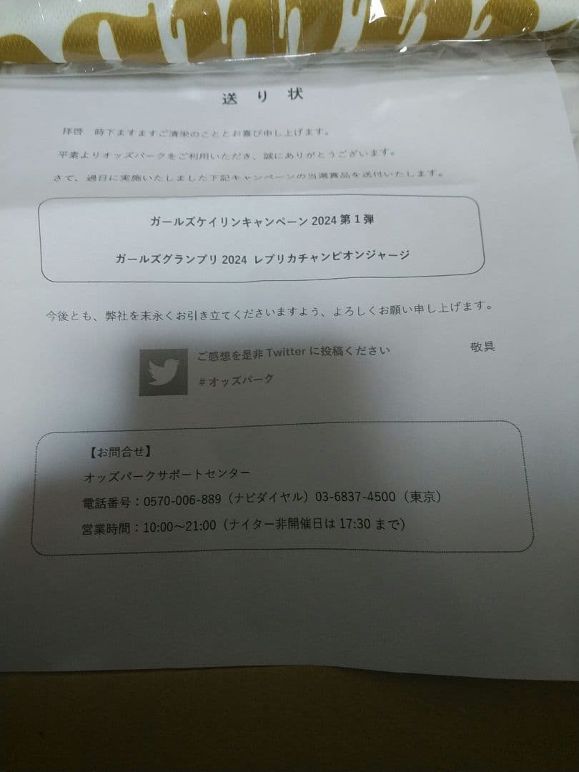 【レア非売品】ガールズケイリン2024レプリカチャンピオンジャージ Lサイズ