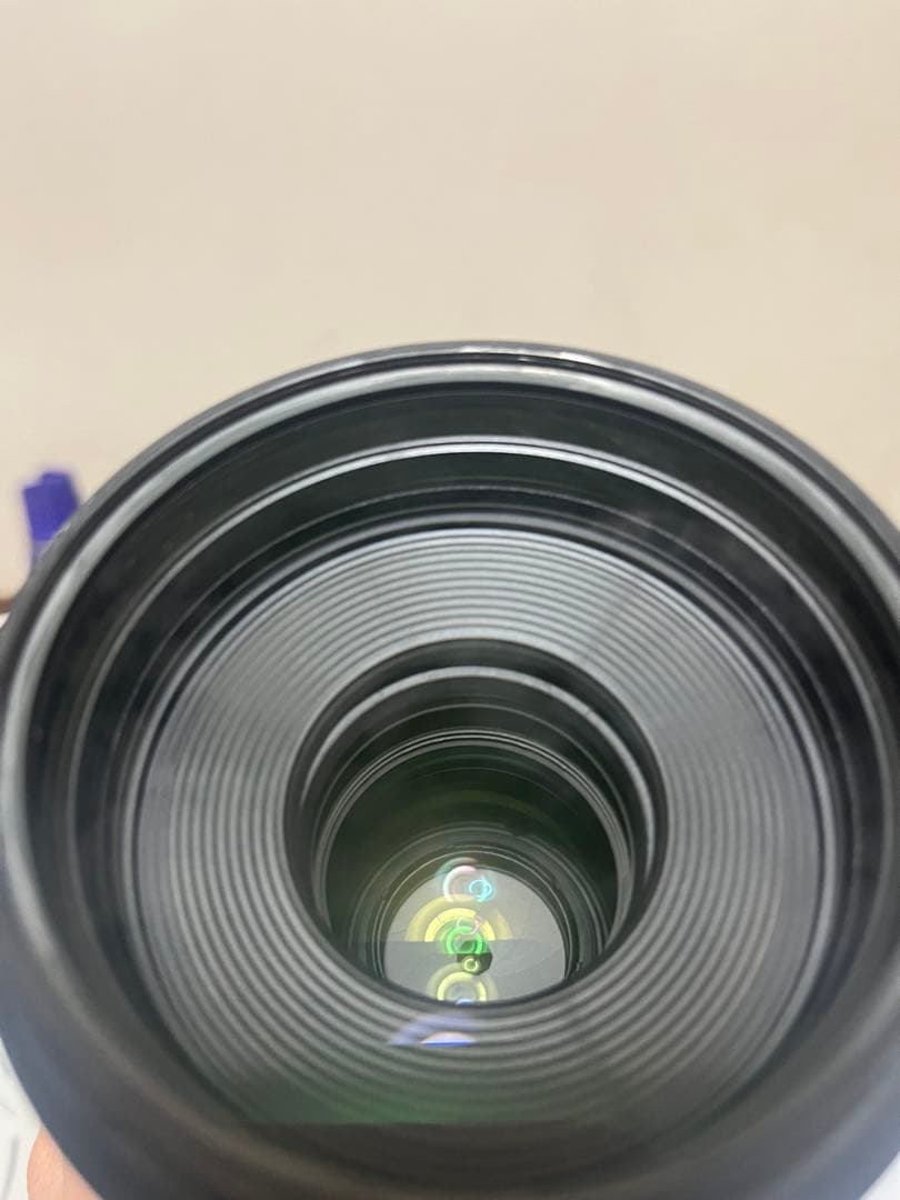 Canon RF 100-500mm F4.5-7.1 L IS USMレンズ