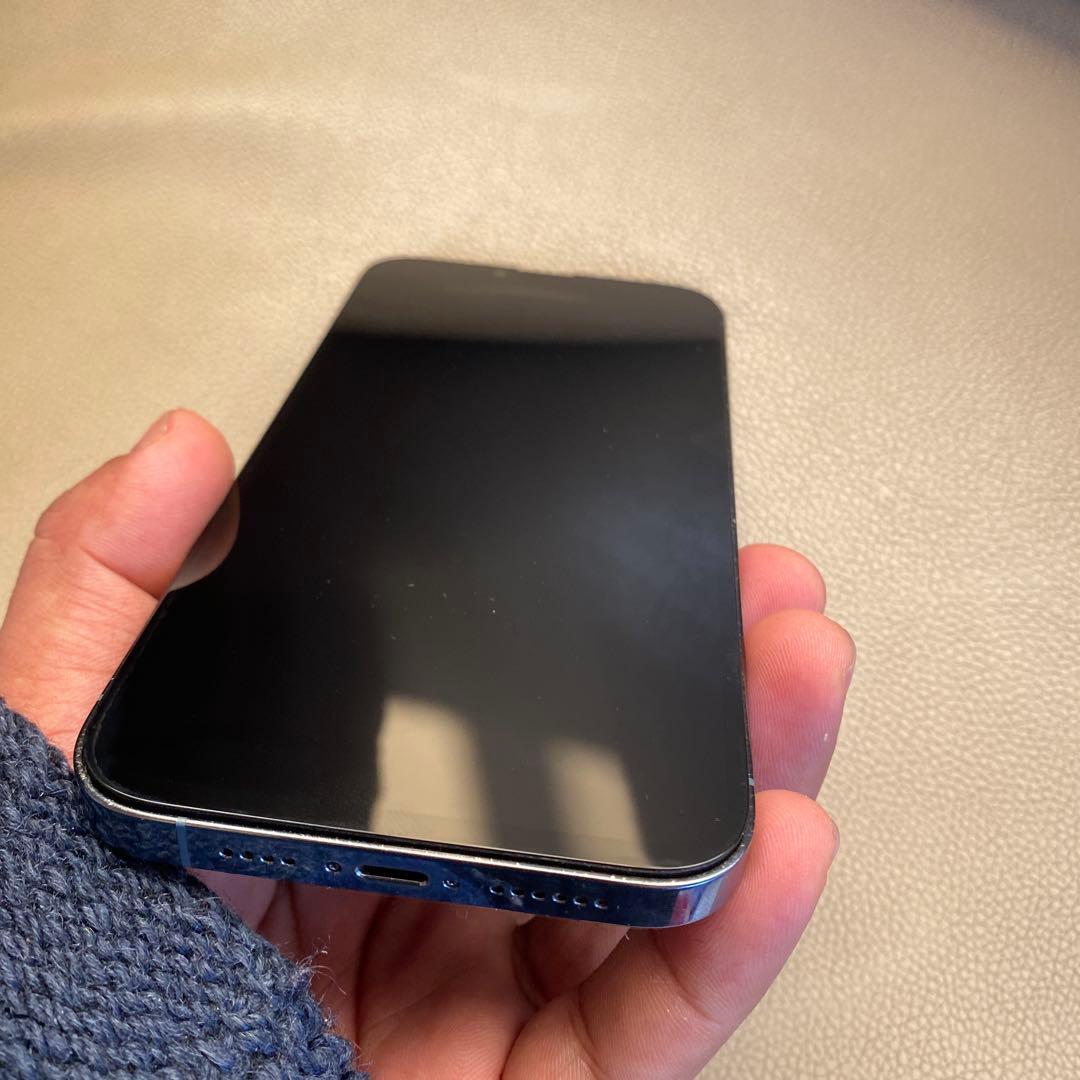 Apple iPhone 13 Pro Max 256GB リームーフ