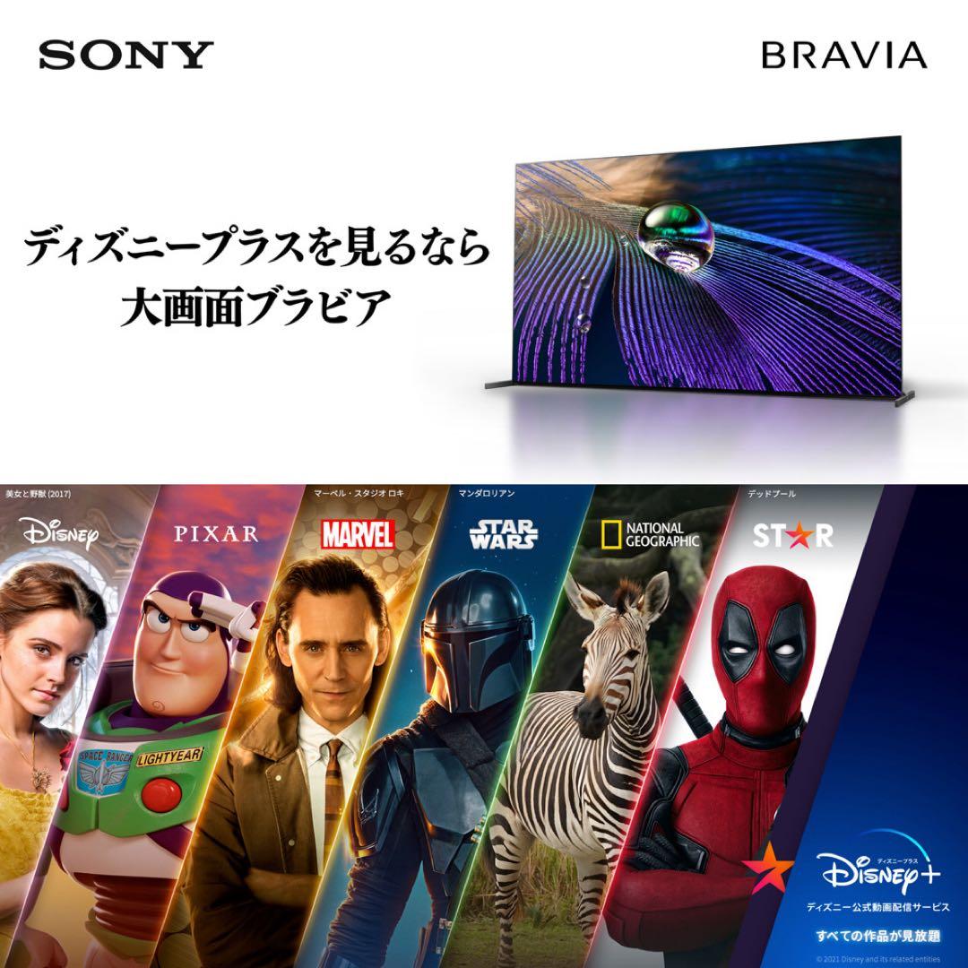 ⭐️極美品⭐️ソニー 50V型 4K 液晶 テレビ ブラビア KJ-50X80WK