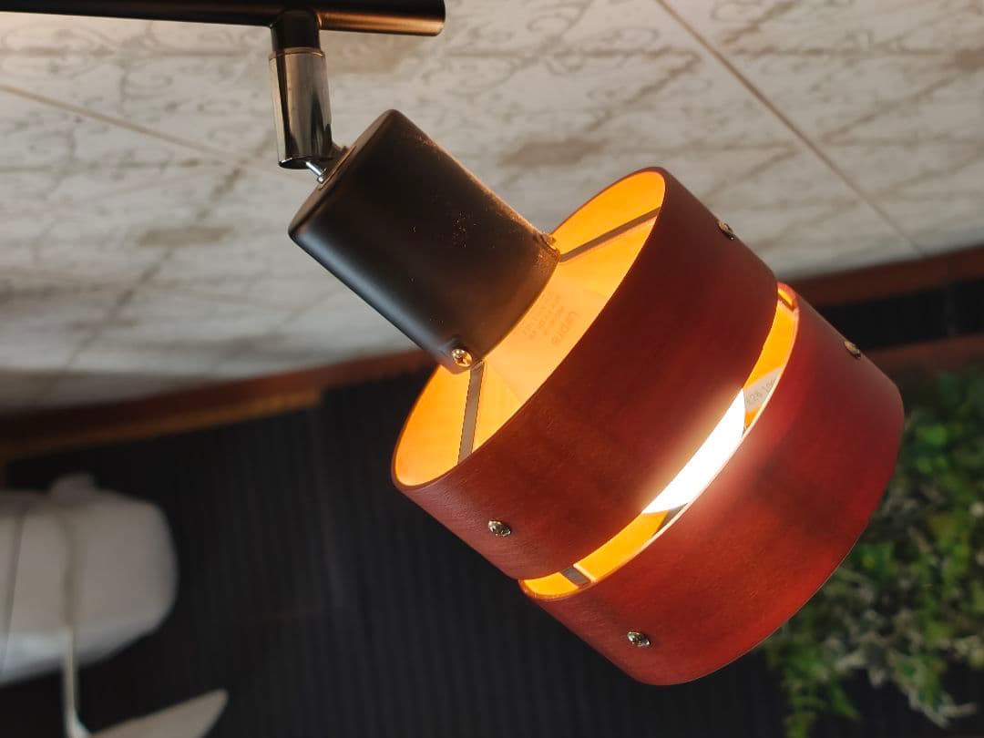 天井照明 スポットライト 4灯式 スマートライト4個付き