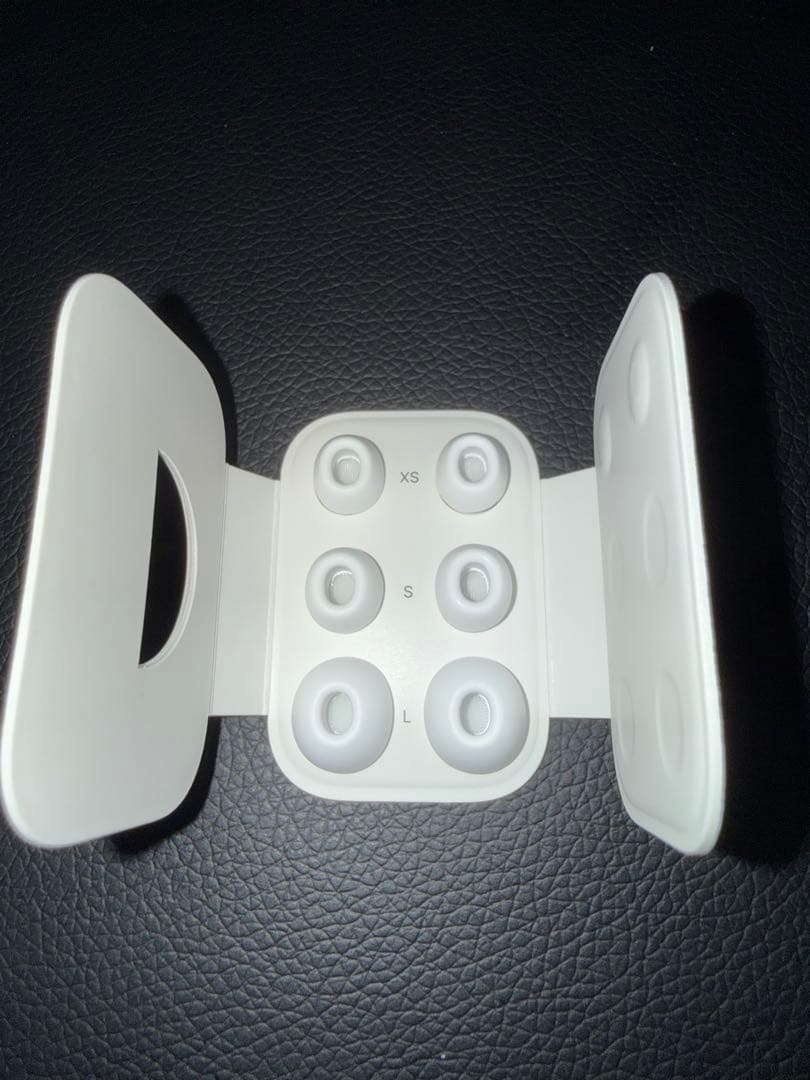 AirPods pro2 (usb-c)＋ケース2個＋イヤーピース