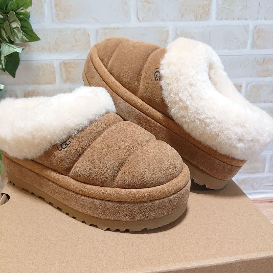 Tazzlita　タズリータ チェスナット 23cm 厚底 新品　UGG　アグ