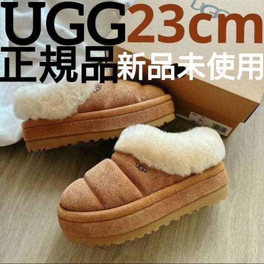Tazzlita　タズリータ チェスナット 23cm 厚底 新品　UGG　アグ
