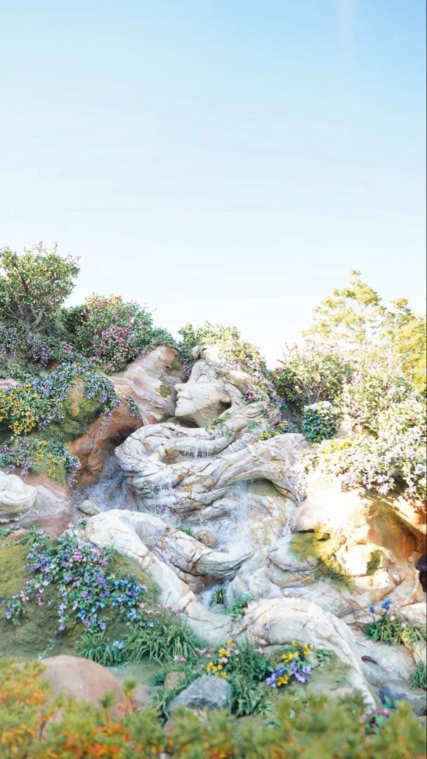 最終値下げSONY FE 24mm F1.4 GM レンズ