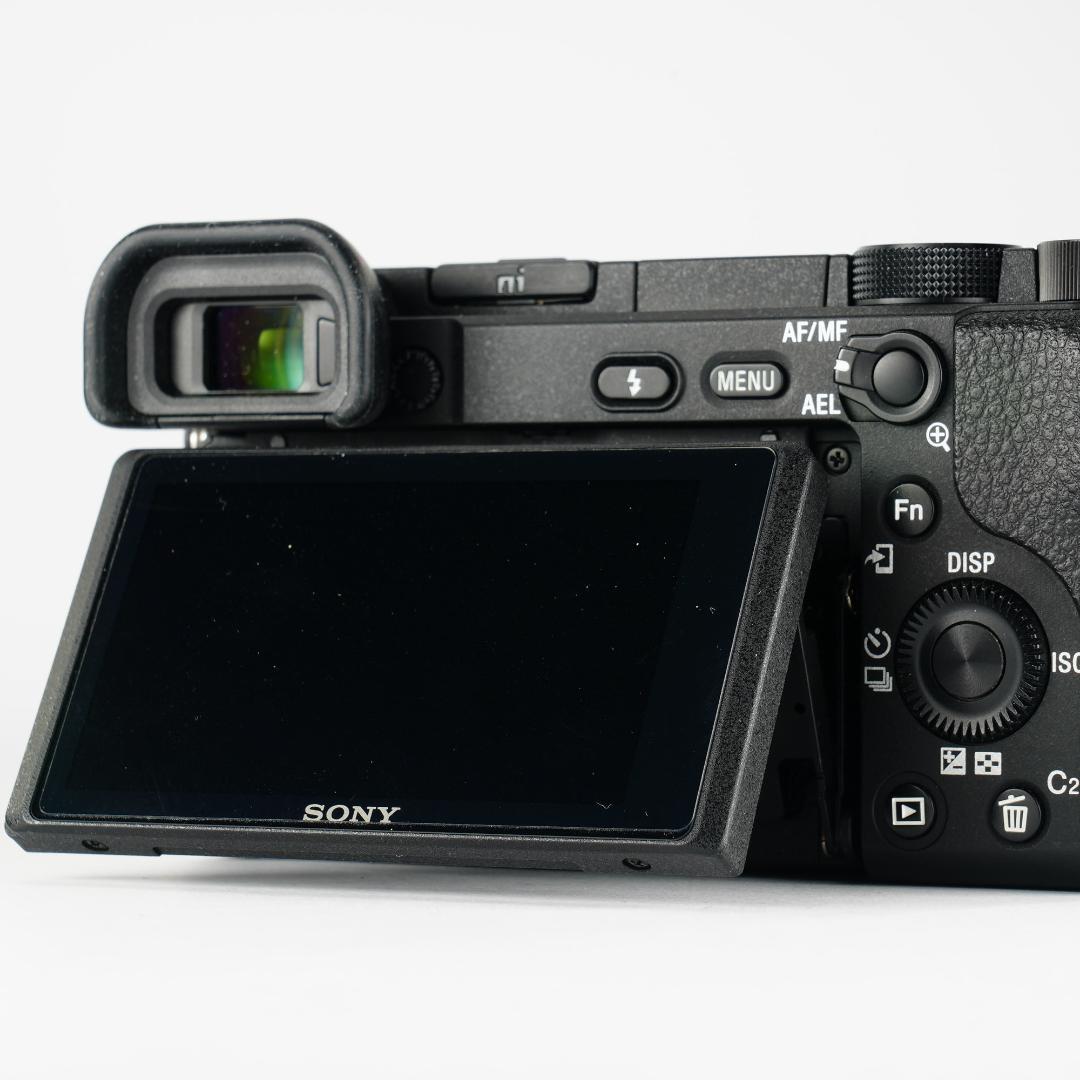 2度と戻らない瞬間を美しく、最高カメラ SONY α6400 ミラーレス 557