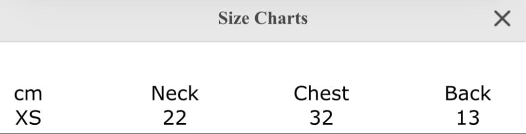 犬服・アクセサリー louisdog White Pearl Blouse