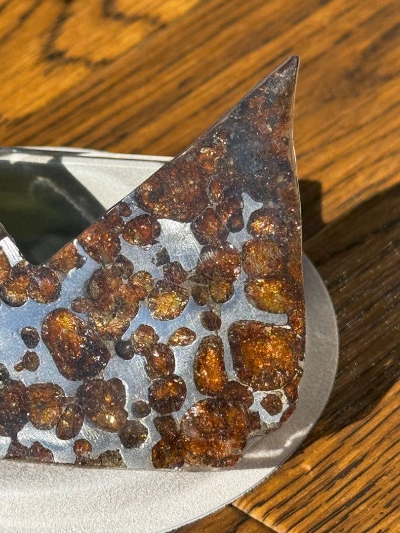 パラサイト隕石