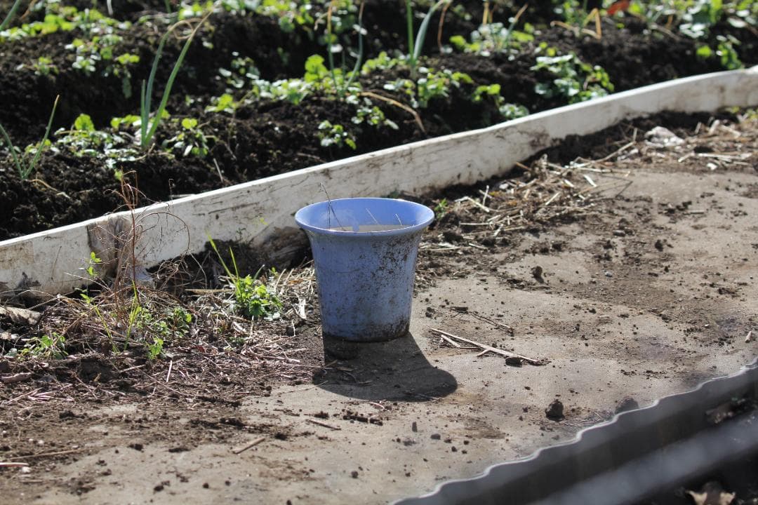 【美品】 Canon EF 100-400mm F4.5-5.6L IS II