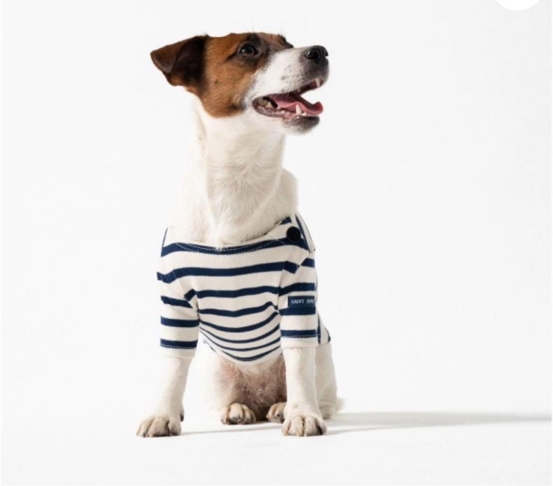 【新品未使用／日本未入荷】セントジェームス 犬服 Lサイズ　フランスパビリオン