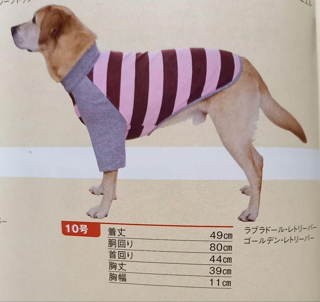 パーカー付き