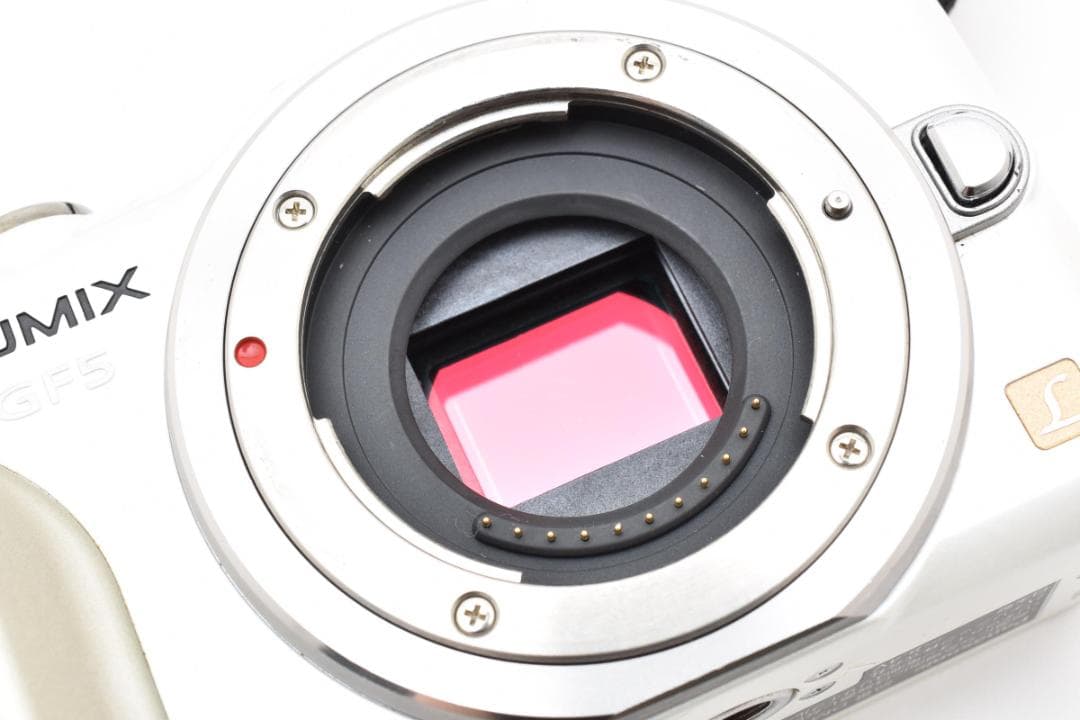 ★美品★パナソニック ルミックス DMC-GF5 ボディ #21066