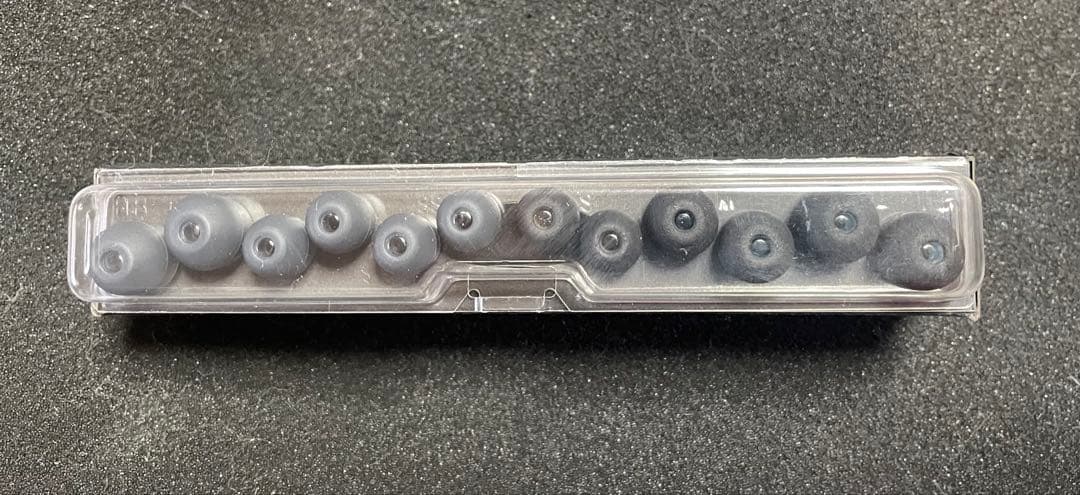 【付属品未使用完備】SONY ソニー WI-1000XM2 ワイヤレスイヤホン