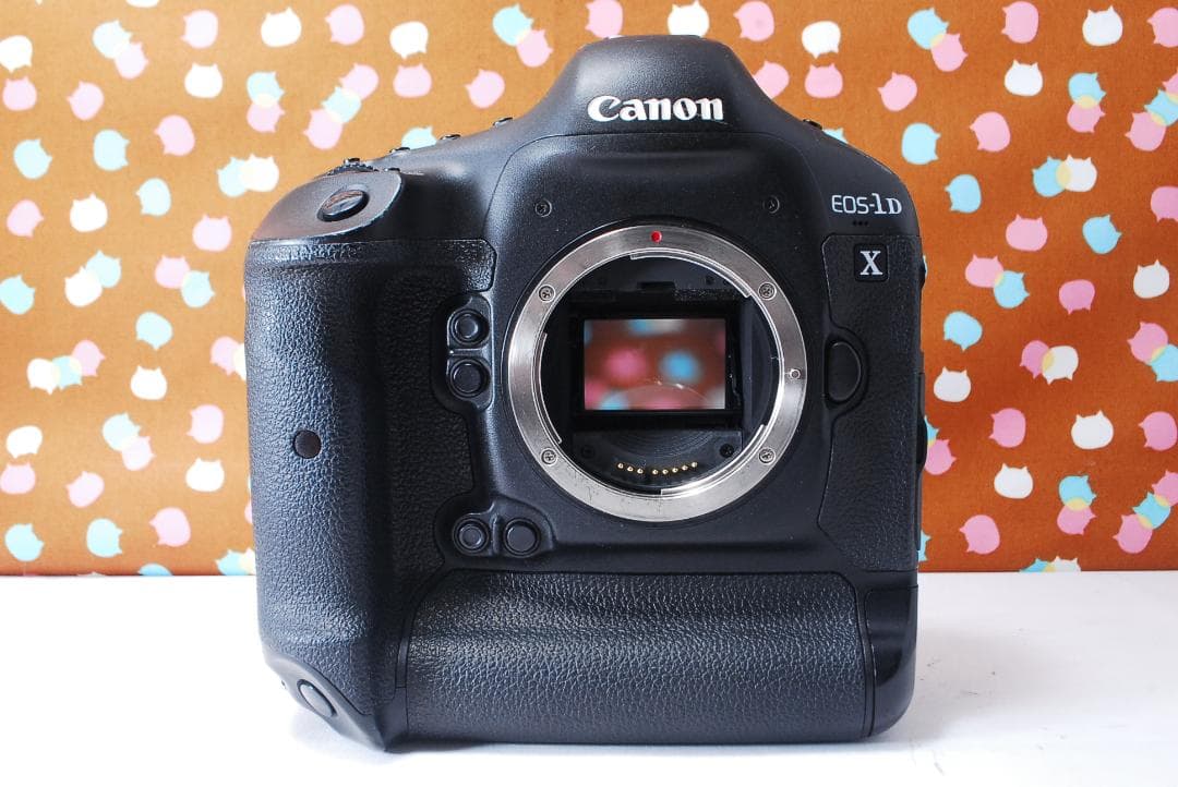 ✨元箱付き✨付属品充実✨Canon EOS-1DX ボディ