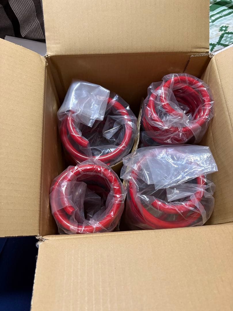 detan FL5 SUPER LOWFORM SUS スプリング ダウンサス