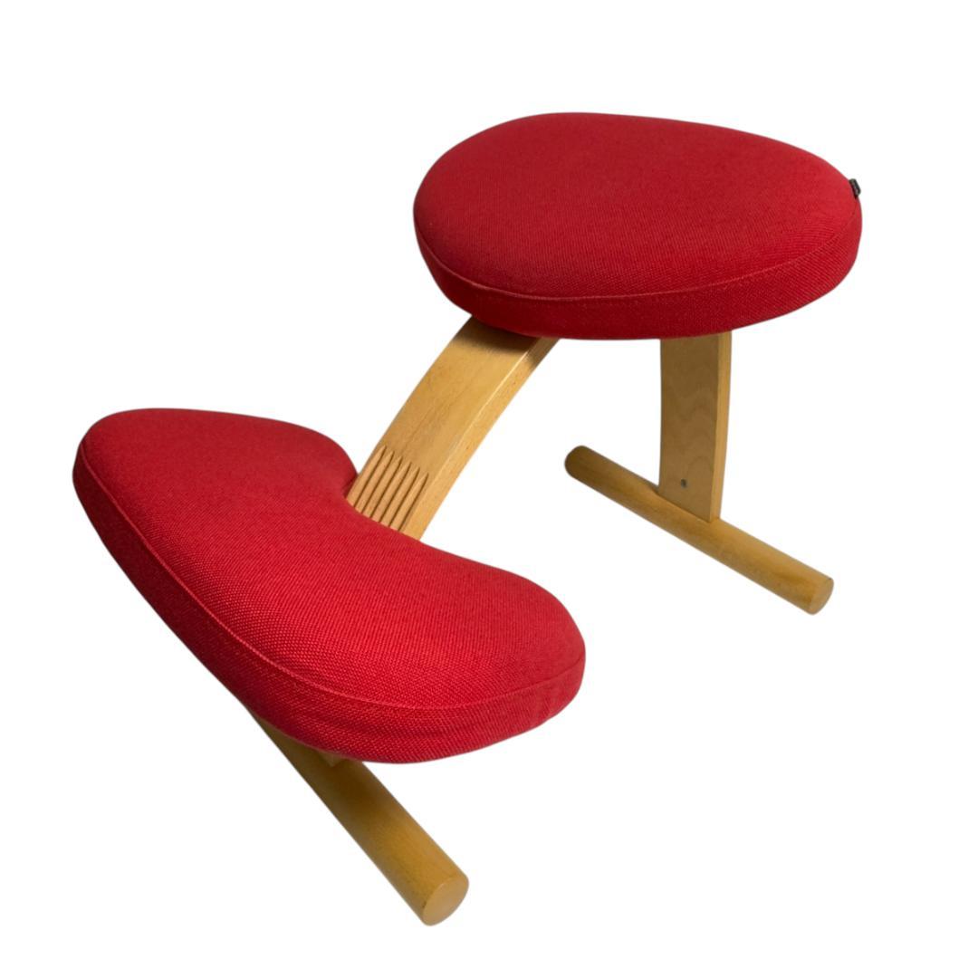 Sakamotoサカモトハウス バランスチェア イージー 姿勢がよくなる