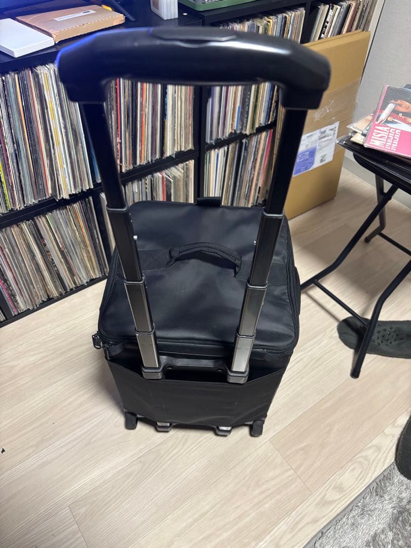 ノースフェイス　レコードバック12インチ