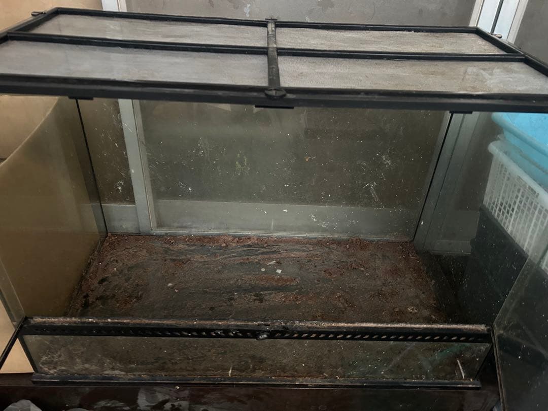 引き取り限定　グラステラリウム9060