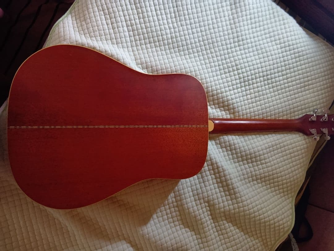 Fender DG-16NATアコースティックギターハードケース、ピックアップ付