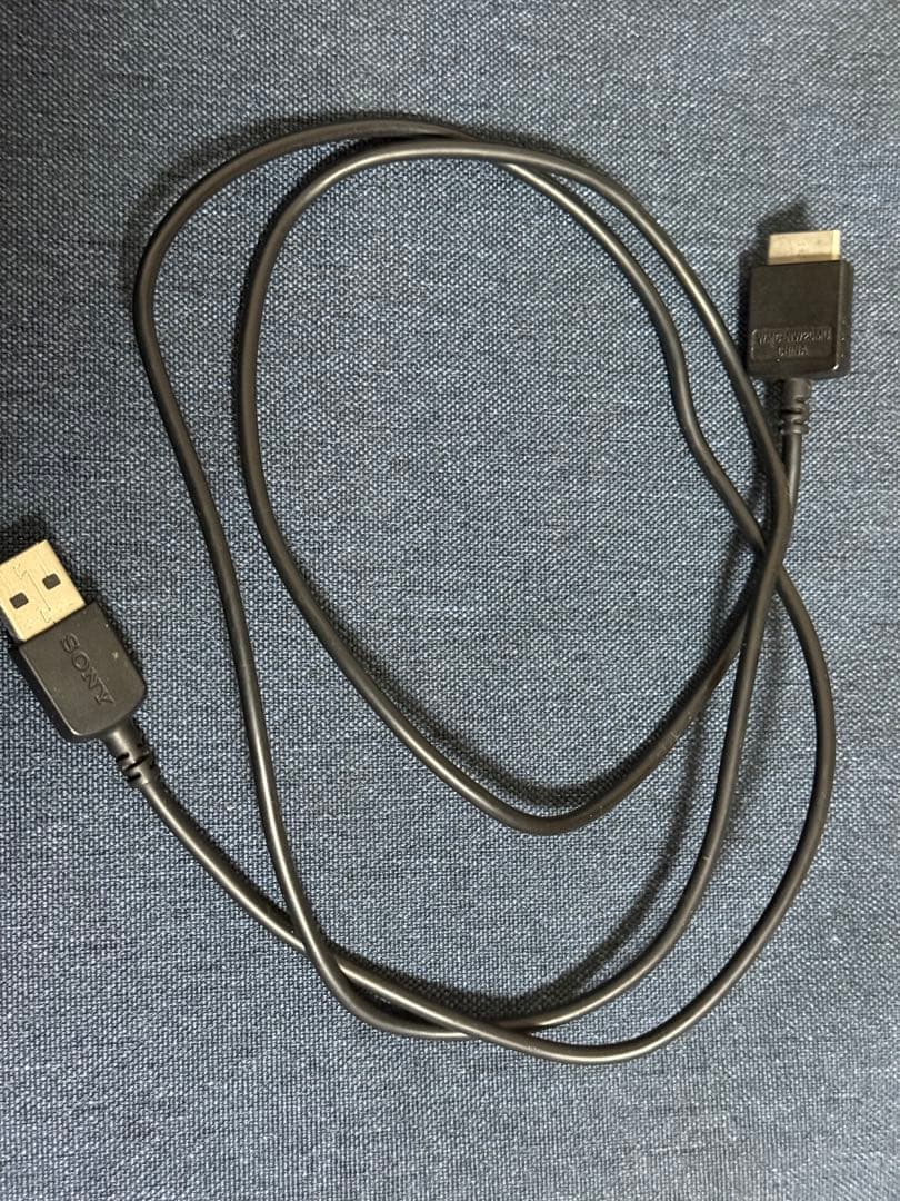 Sony NW-ZX300G ウォークマン