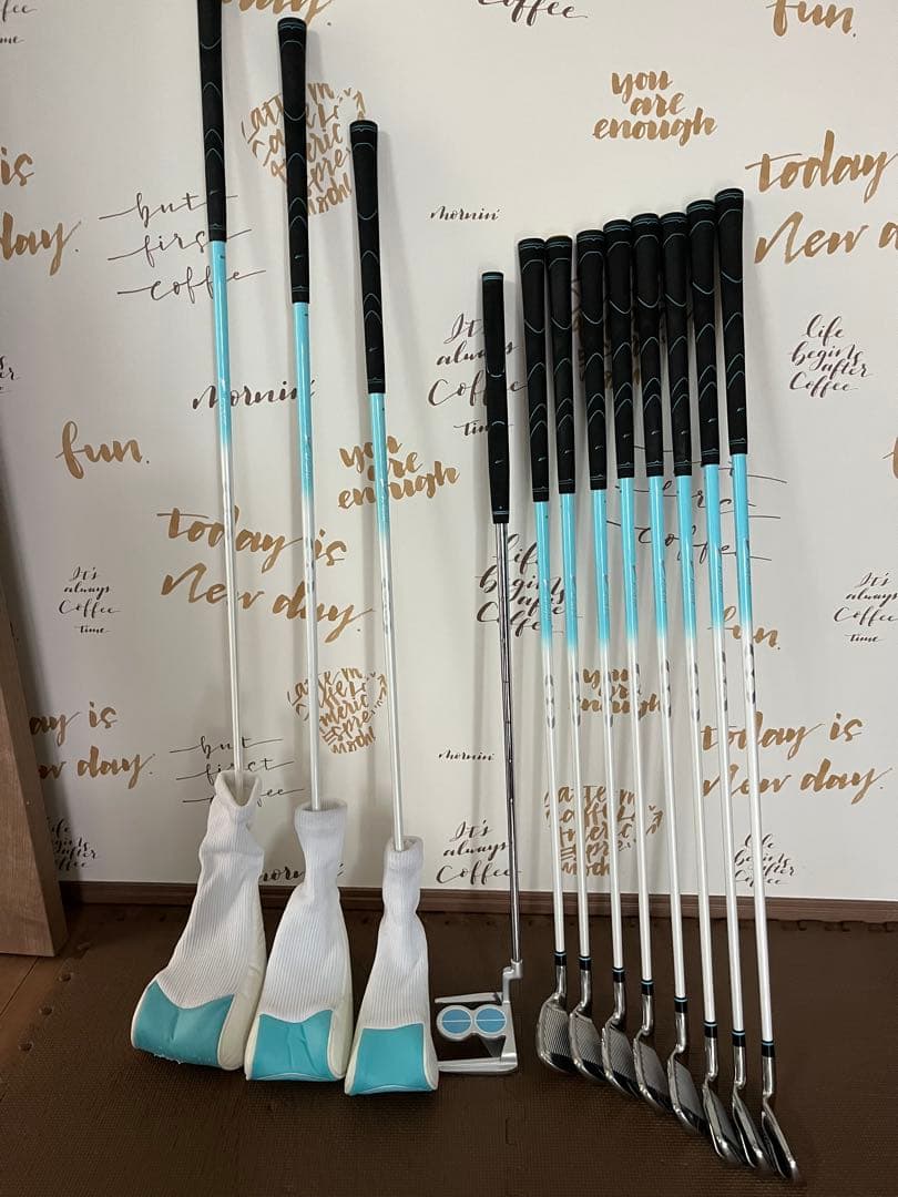 WORLD EAGLE レディース ゴルフクラブセット 12本