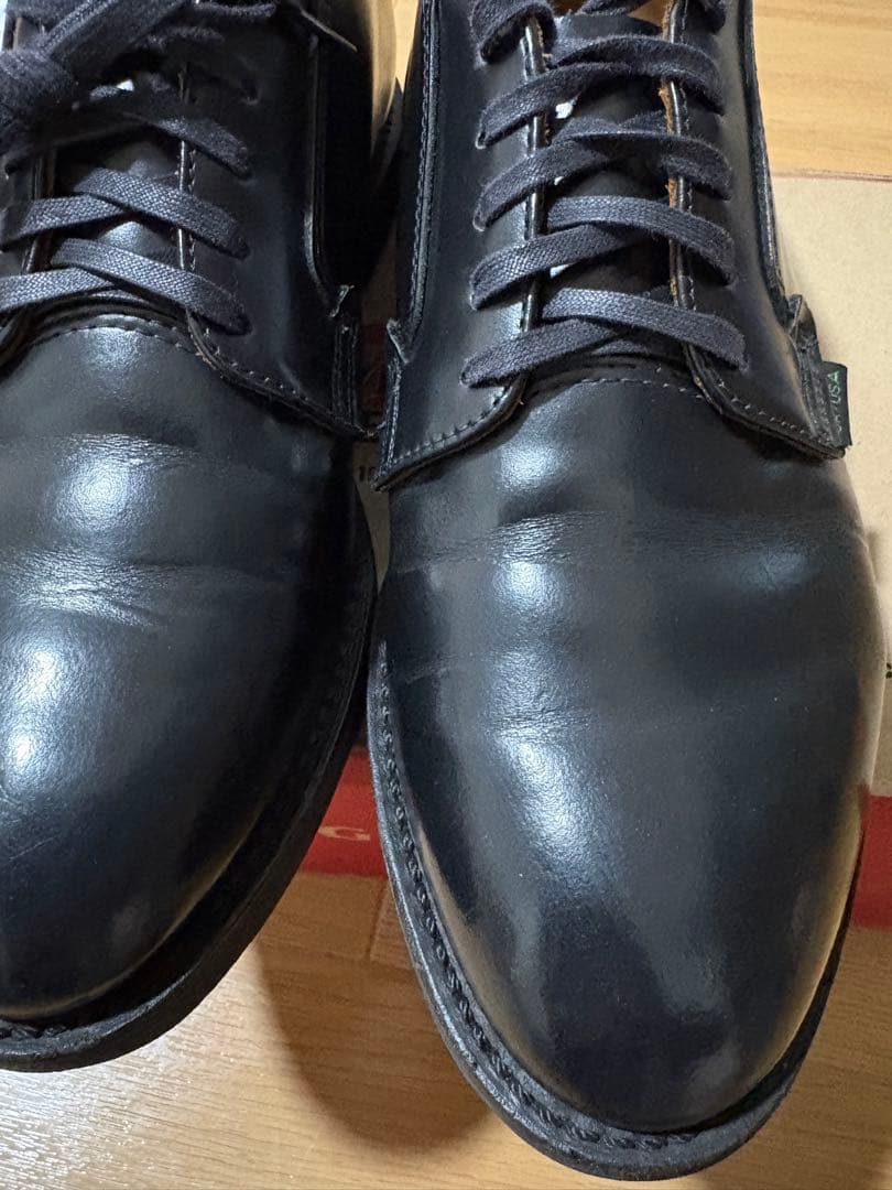 レッドウイング　ポストマン　ブラック　9D 27cm USA製