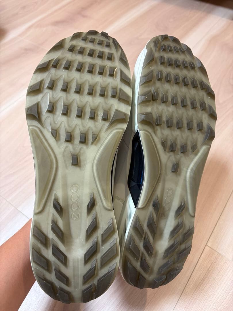 エコー ECCO BIOM C4 BOA