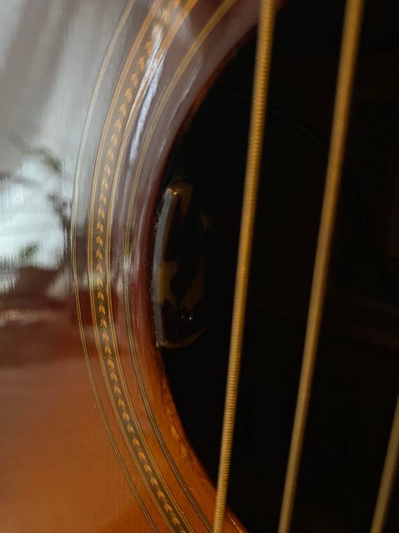 Crescent オール単板 CA-D-85BS L.R.Baggs lyric