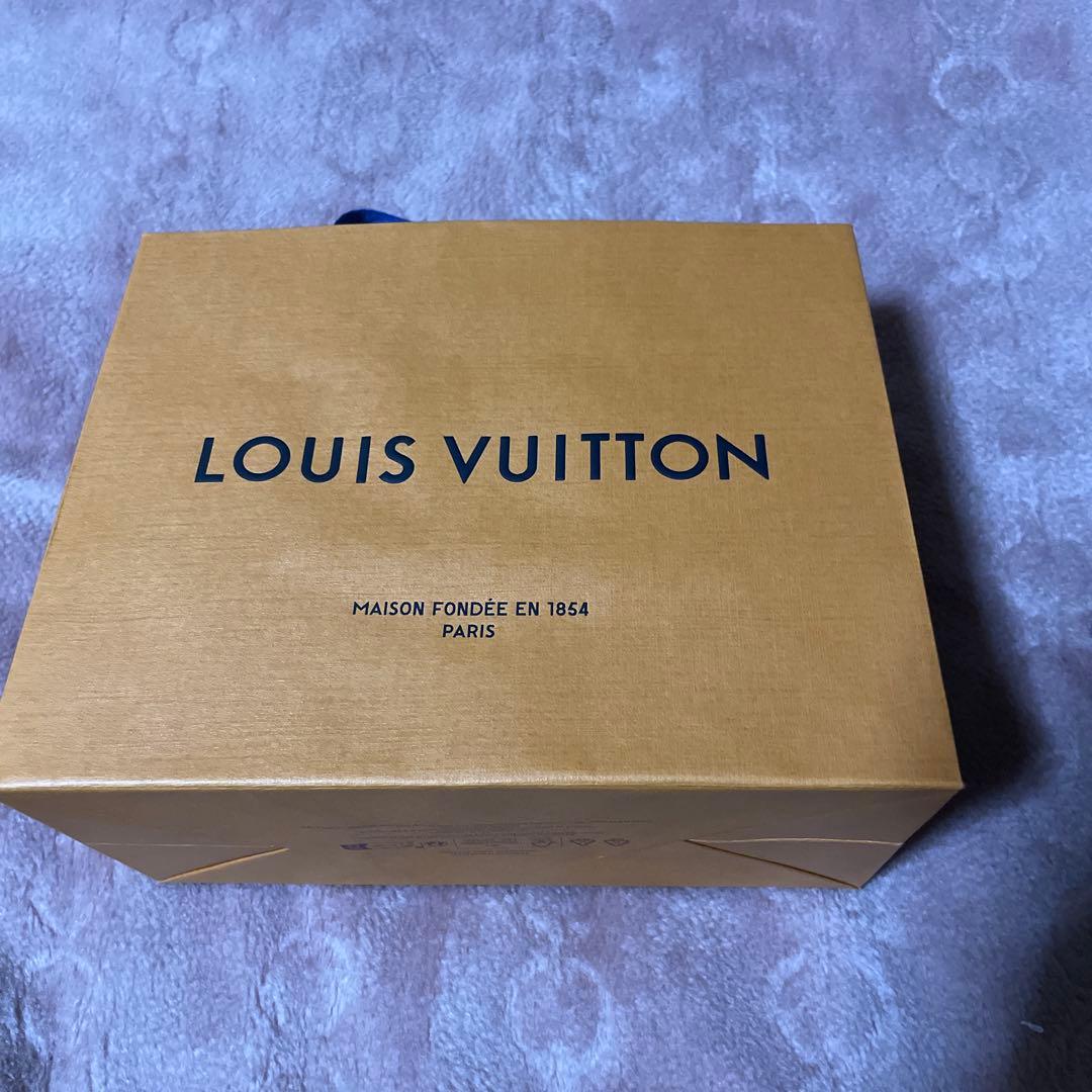 LOUIS VUITTON　M67916アンシャッペキーリングダミエグラフィット