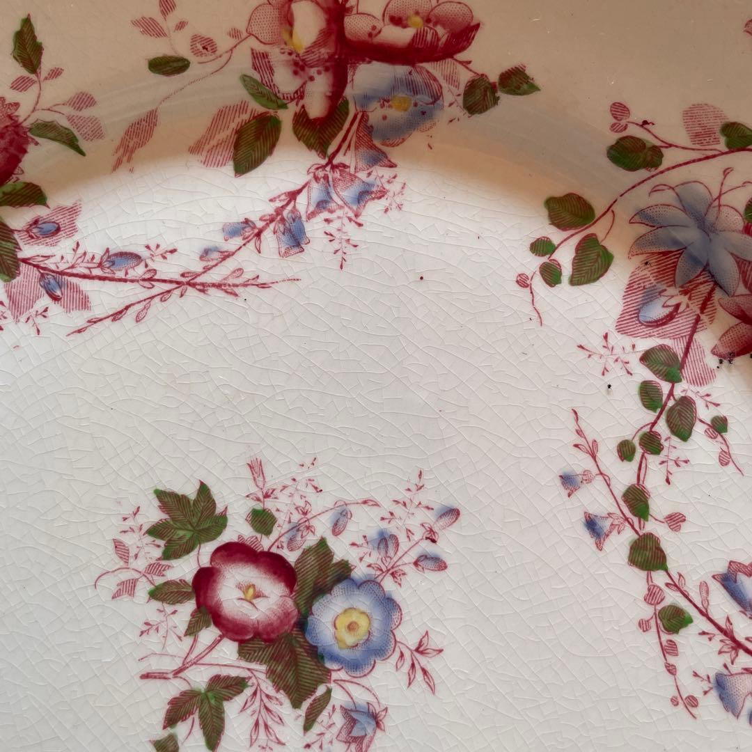 サルグミンヌ 花柄平皿 2枚セット BERTHA 約22.5cm