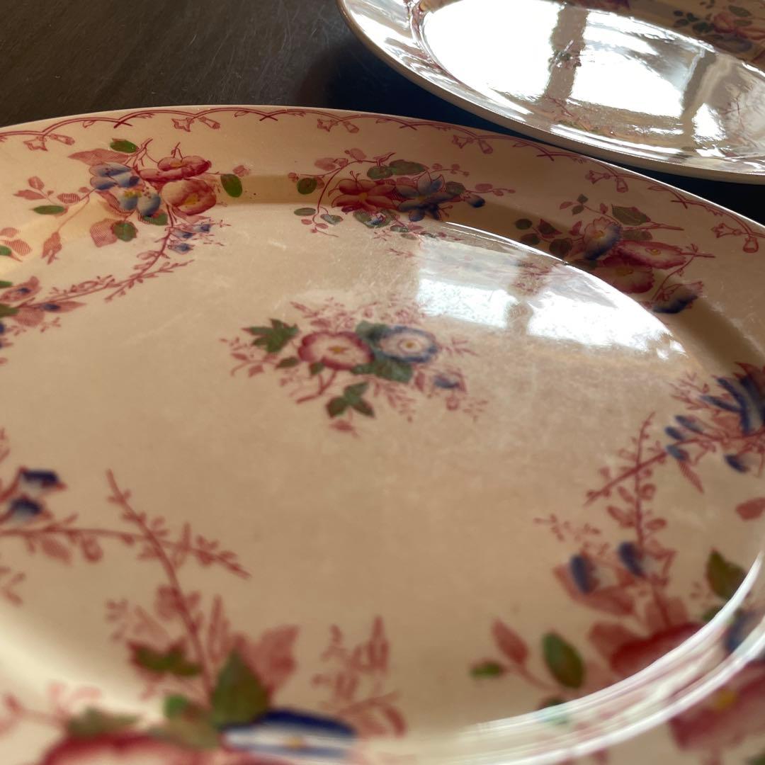 サルグミンヌ 花柄平皿 2枚セット BERTHA 約22.5cm