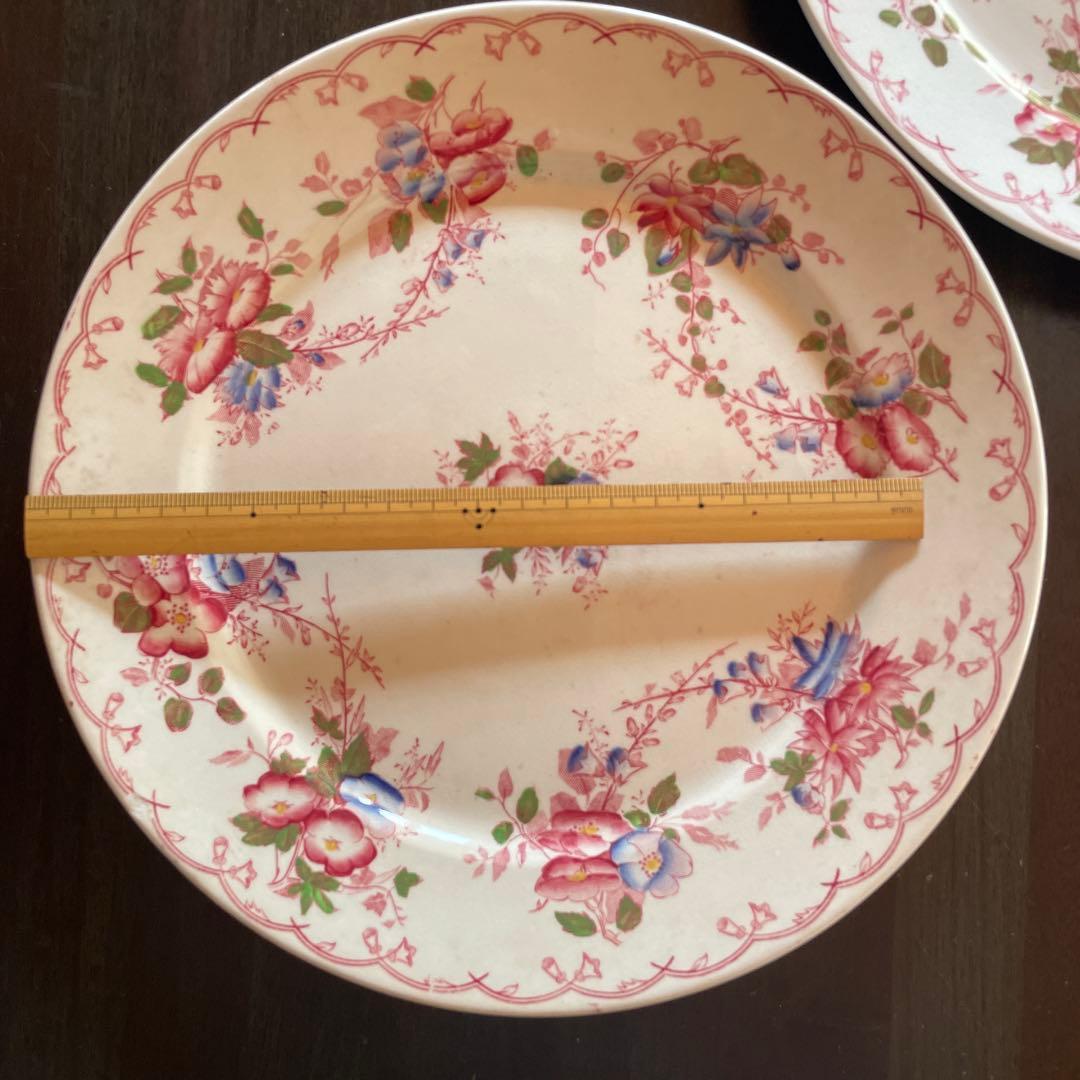 サルグミンヌ 花柄平皿 2枚セット BERTHA 約22.5cm
