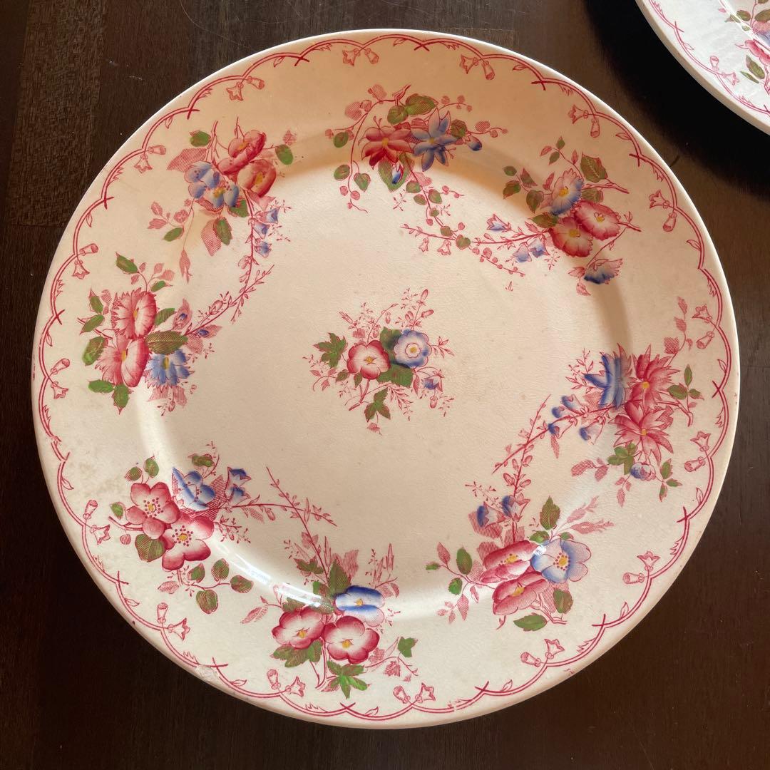 サルグミンヌ 花柄平皿 2枚セット BERTHA 約22.5cm