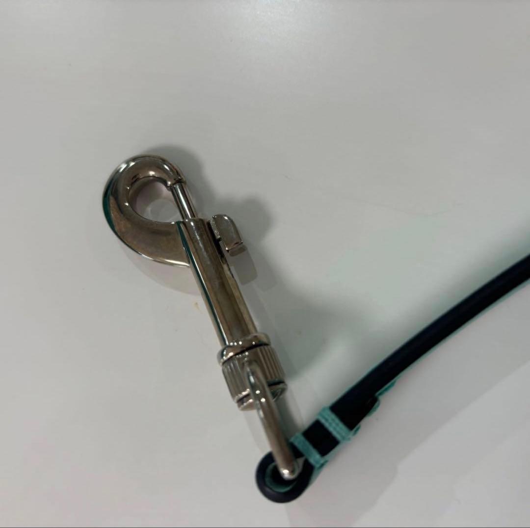 Tiffany & Co. ペットリーシュ