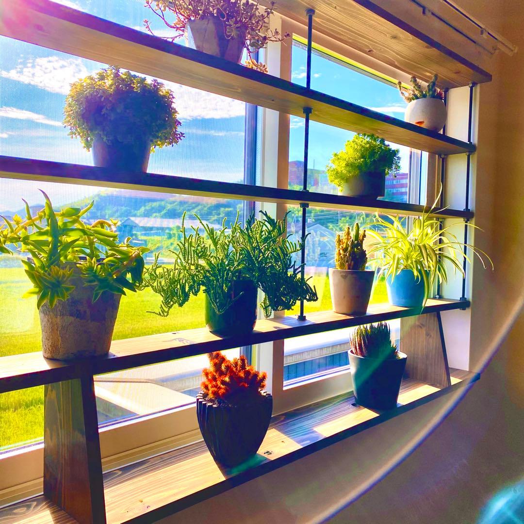 TVにて紹介されました 突っ張れて倒れない　窓枠ラック　tasty 3