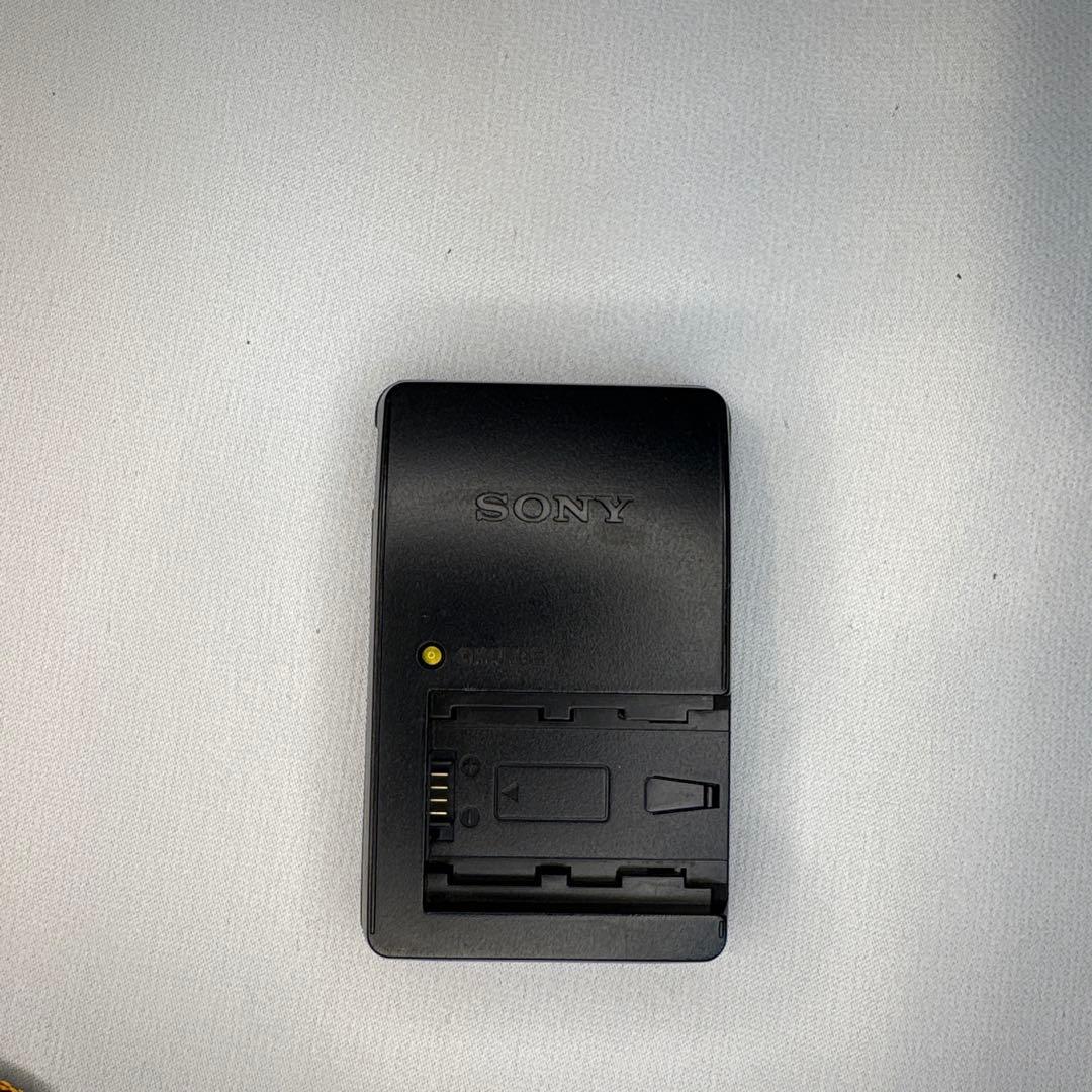 ソニーα330 ブラウン DT 18-55mmショット数9293枚