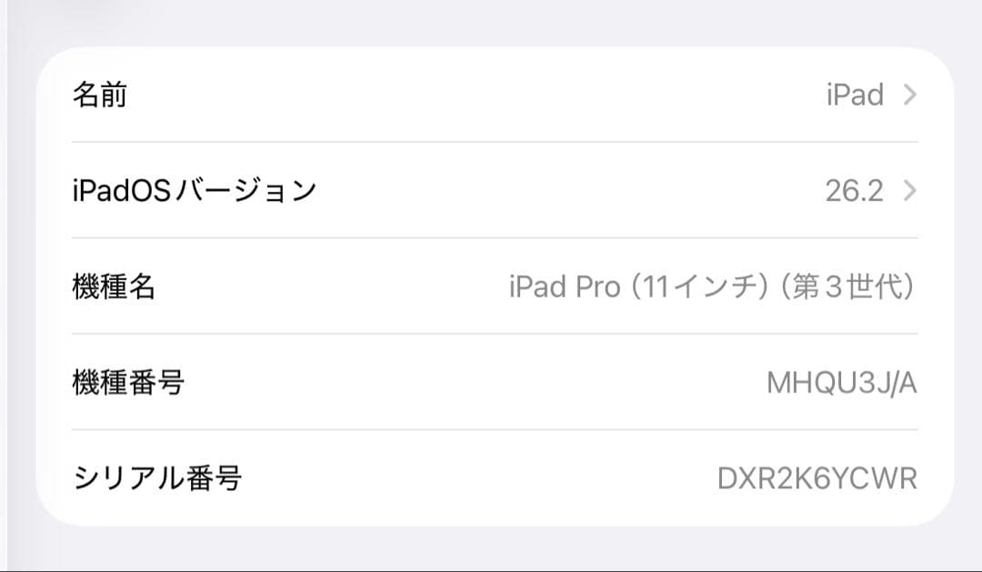 iPad Pro 11インチ 第3世代 256GB WiFiモデル ペン付き