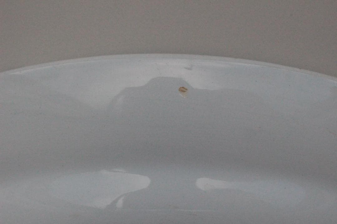 フランスアンティーク/サルグミンヌELVIRE・オーバルプレート