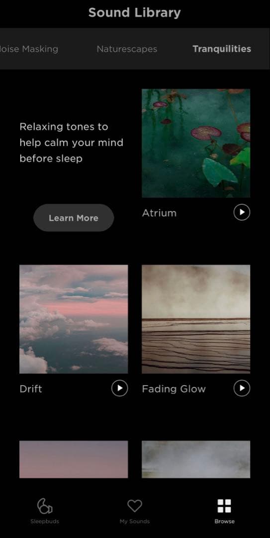 【未使用】Bose Sleepbuds II