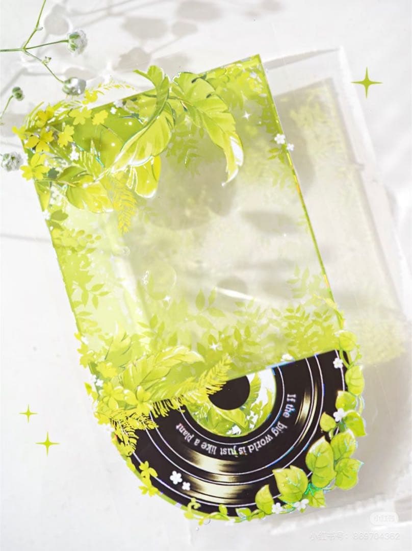 【8464】海外　マステ　5m巻売り　貝殻光マスキングテープ　CD