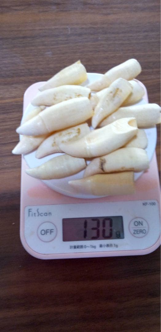 k*l様 ⭐︎激レア⭐︎希少⭐︎シャチの歯　骨董品