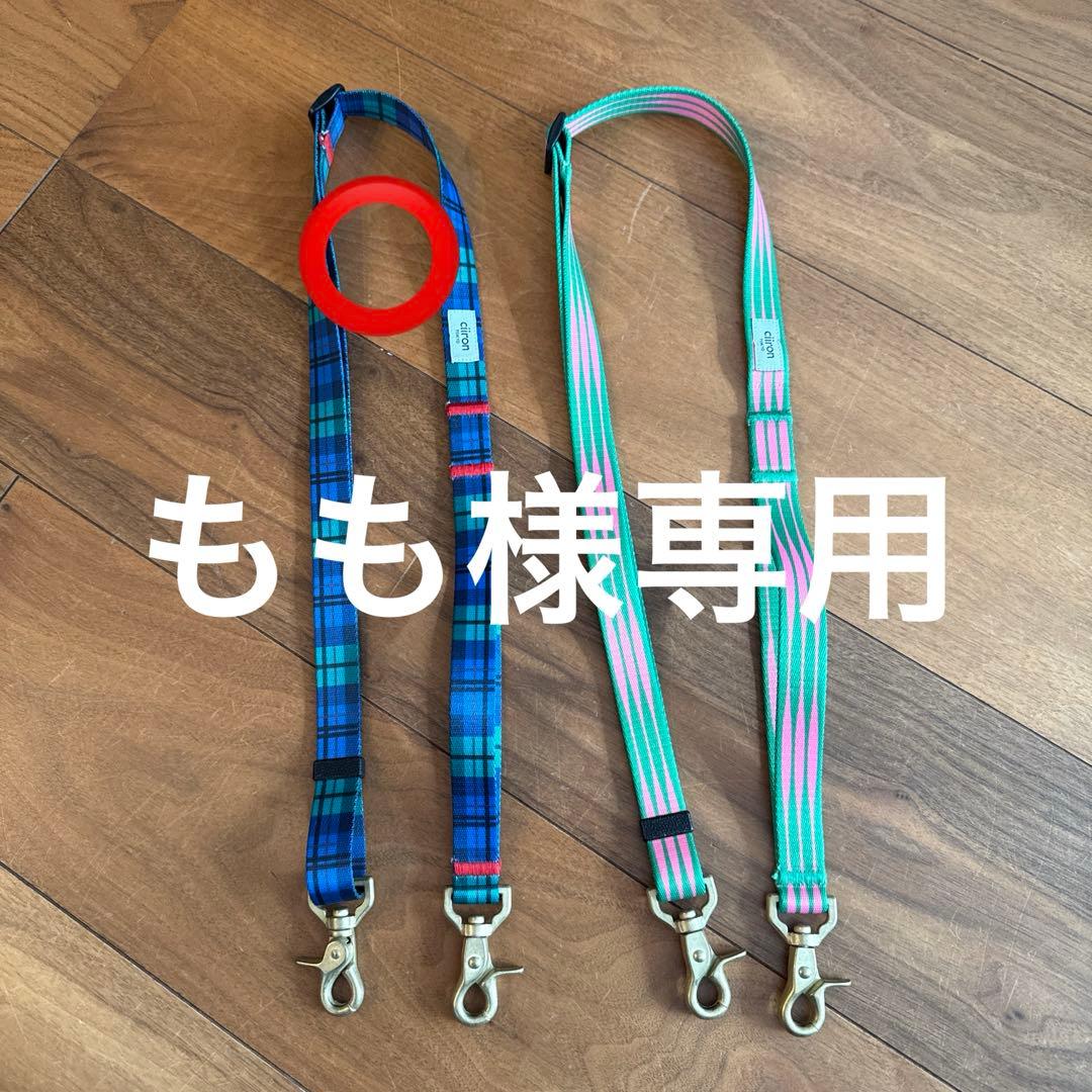 首輪・ハーネス・リード charlie