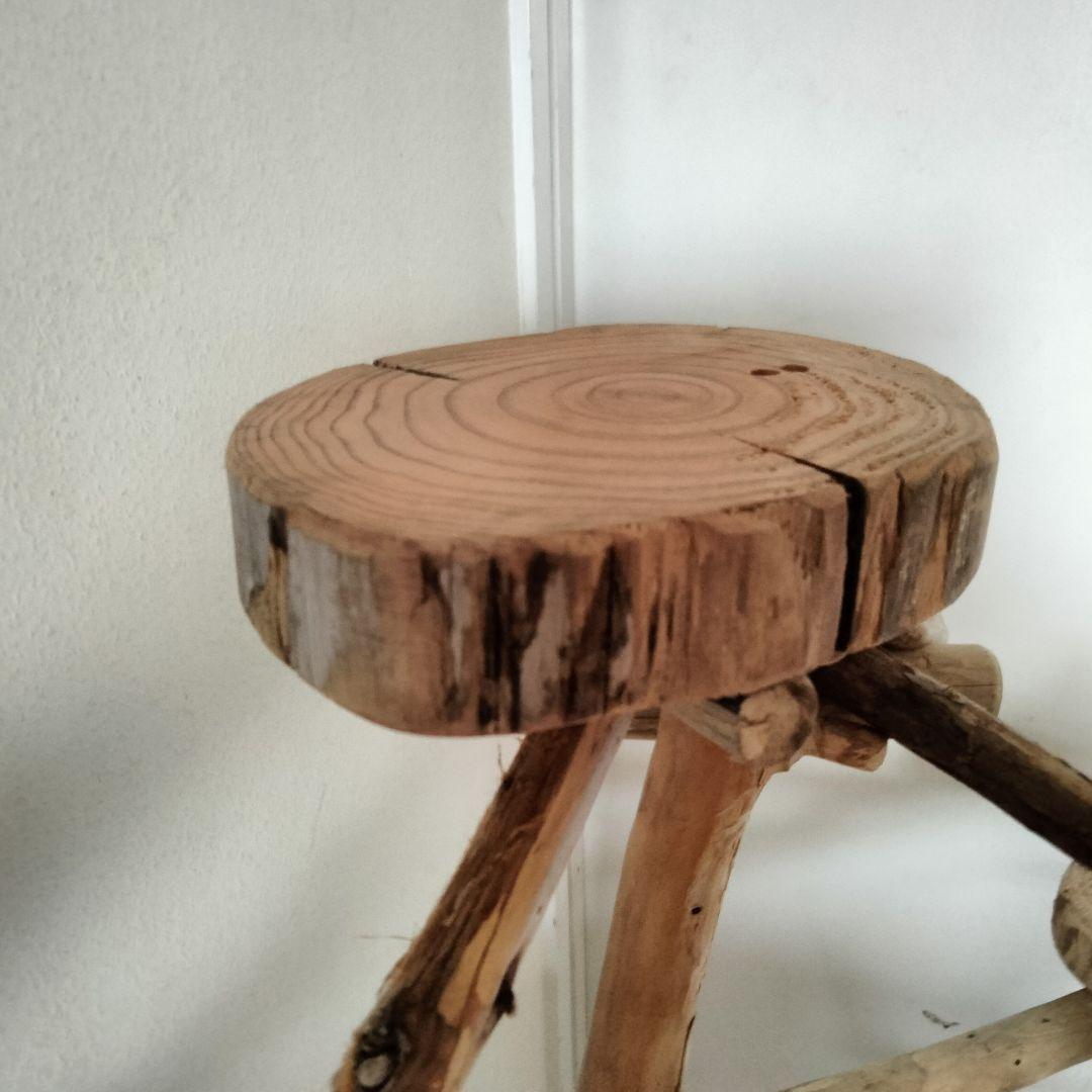 ET バードアスレチックジム 天然木 自然木 流木 止まり木 インコ