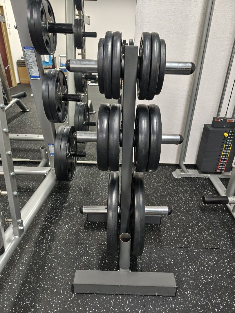 IVANKO オリンピックプレート 105kg＋アイロテック プレートツリー